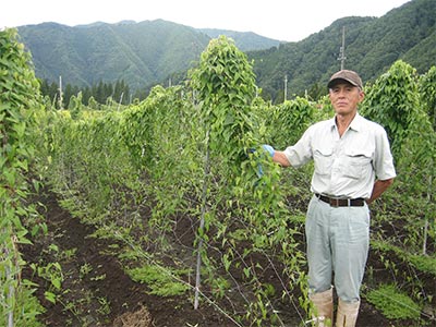 大林さんの自然薯